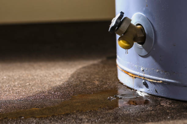 Water damage restoration mold remediation in Oakleaf Plantation, FL