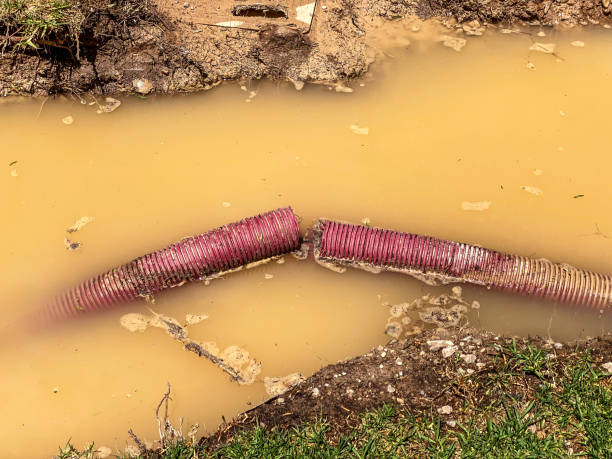Water damage restoration insurance claims in Oakleaf Plantation, FL